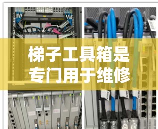 梯子工具箱是专门用于维修和处理梯子的设备箱，包含多种工具方便用户完成梯子的各种维护和安装工作。以下是关于梯子工具箱的详细介绍
