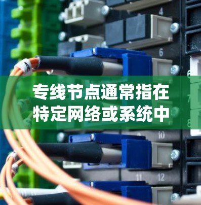 专线节点通常指在特定网络或系统中负责处理特定业务或任务的节点。这类节点可能具有专通功能，能够直接连接到特定的业务源或者目标节点，进行数据传输、资源分配或管理
