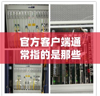 官方客户端通常指的是那些由官方机构或平台发布的应用程序、网站或工具，这些内容通常具有较高的可信度和权威性。以下是一些常见的官方客户端及其基本使用方法