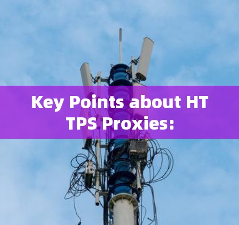 Key Points about HTTPS Proxies: