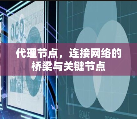 代理节点，连接网络的桥梁与关键节点
