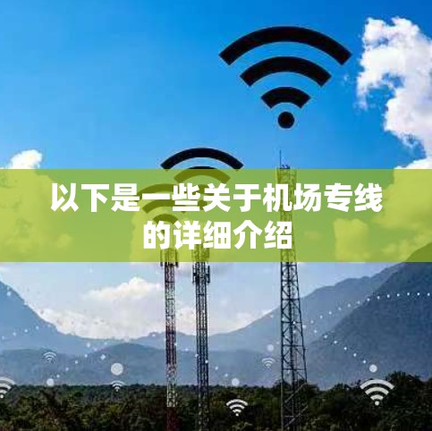 以下是一些关于机场专线的详细介绍