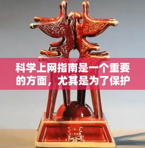 科学上网指南是一个重要的方面，尤其是为了保护用户在科学领域使用的信息安全。以下是一些关键步骤和建议，帮助用户 safer地使用网络