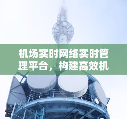 机场实时网络实时管理平台，构建高效机场网络的新标准