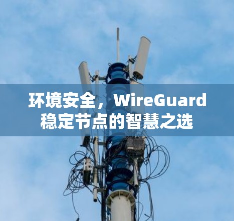 环境安全，WireGuard稳定节点的智慧之选