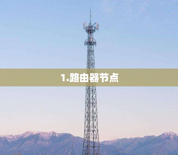 1.路由器节点 1.路由器节点