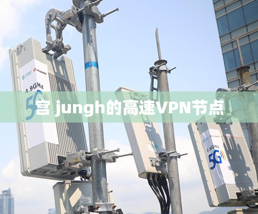 宫 jungh的高速VPN节点