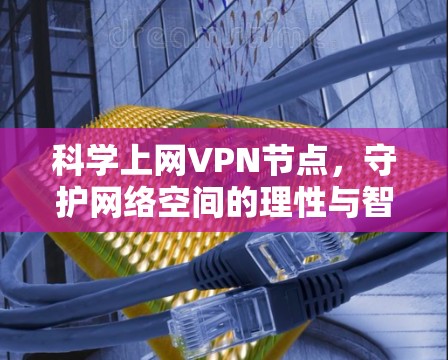科学上网VPN节点，守护网络空间的理性与智慧