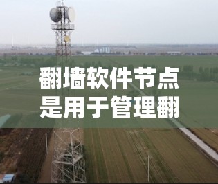 翻墙软件节点是用于管理翻墙软件功能的模块，确保用户能够合法访问目标服务器。以下是对这些节点的详细解析