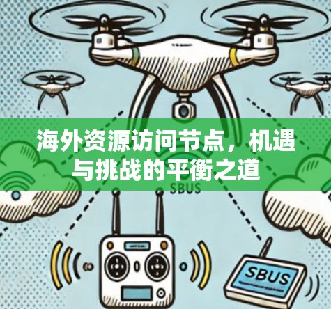海外资源访问节点，机遇与挑战的平衡之道