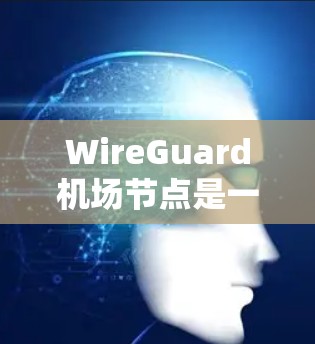 WireGuard机场节点是一种基于Wi-Fi的网络监控工具,主要用于机场的安全网络环境监控。它通过分析网络流量,实时检测网络异常和故障,确保机场网络设备处于正常运行状态,防止潜在的安全威胁 WireGuard机场节点是一种基于Wi-Fi的网络监控工具,主要用于机场的安全网络环境监控。它通过分析网络流量,实时检测网络异常和故障,确保机场网络设备处于正常运行状态,防止潜在的安全威胁