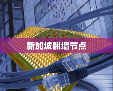 新加坡翻墙节点