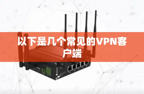 以下是几个常见的VPN客户端