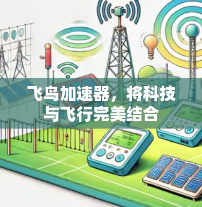 飞鸟加速器，将科技与飞行完美结合