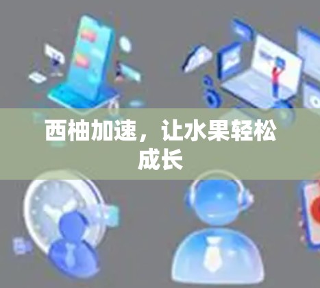 西柚加速,让水果轻松成长 西柚加速,让水果轻松成长