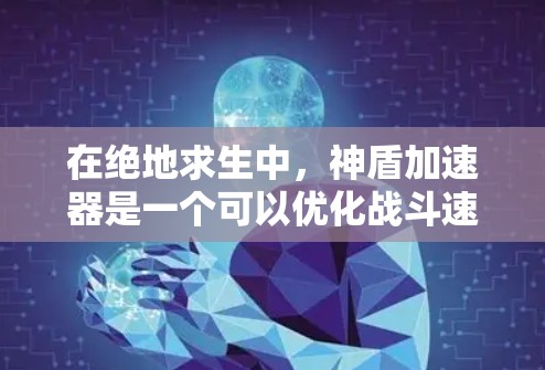 在绝地求生中，神盾加速器是一个可以优化战斗速度的加速器，主要通过物理引擎的优化提升了战斗效率。以下是关于该加速器的详细分析