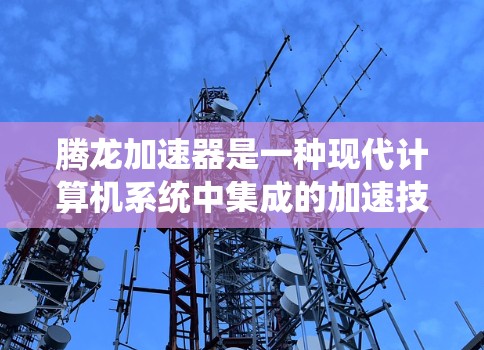 腾龙加速器是一种现代计算机系统中集成的加速技术，旨在加快数据处理、计算和传输速度。它通常由专业的硬件和软件结合使用，能够提升处理效率和数据速度，适用于金融、科学、工程和大数据等领域