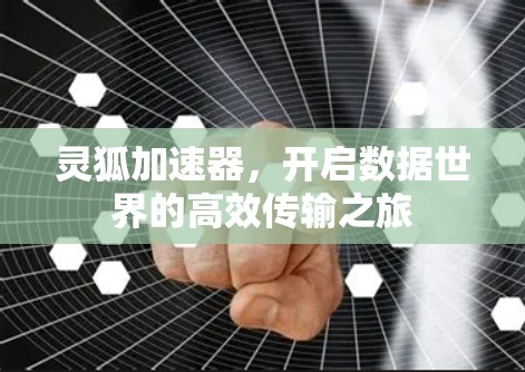 灵狐加速器，开启数据世界的高效传输之旅