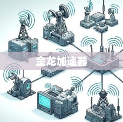 金龙加速器