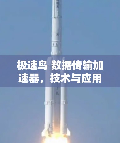 极速鸟 数据传输加速器，技术与应用解析