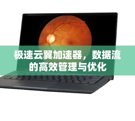 极速云翼加速器，数据流的高效管理与优化