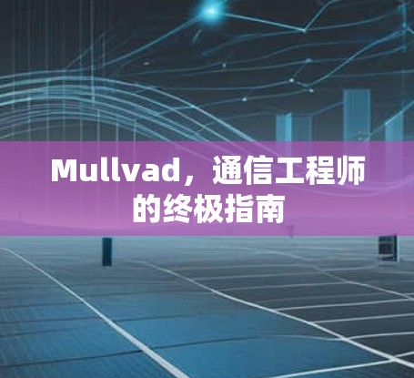 Mullvad，通信工程师的终极指南