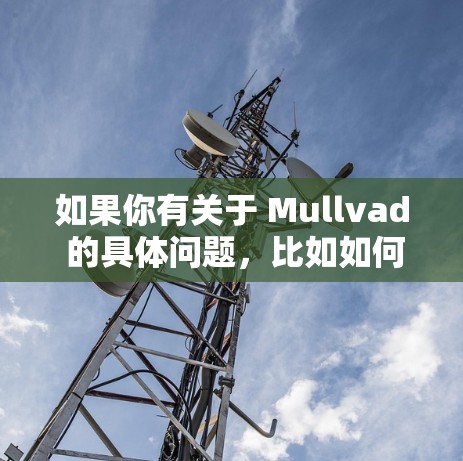 如果你有关于 Mullvad 的具体问题，比如如何注册、登录，或者如何进行存储和应用开发，请提供更多细节，我会尽力帮助你解答！