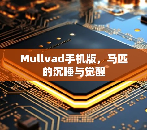 Mullvad手机版,马匹的沉睡与觉醒 Mullvad手机版,马匹的沉睡与觉醒