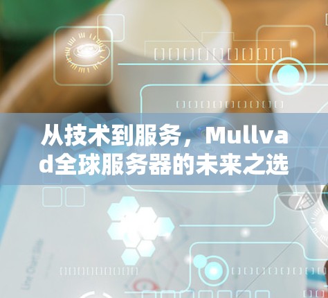 从技术到服务，Mullvad全球服务器的未来之选