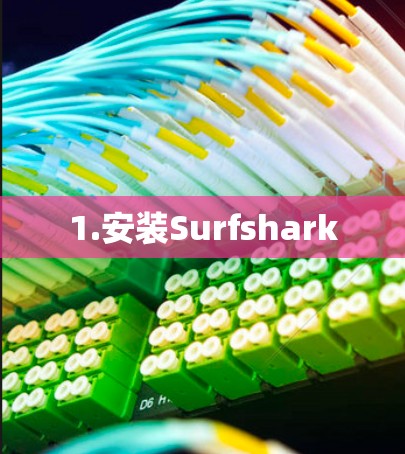 1.安装Surfshark 1.安装Surfshark