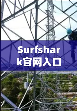 Surfshark官网入口解析