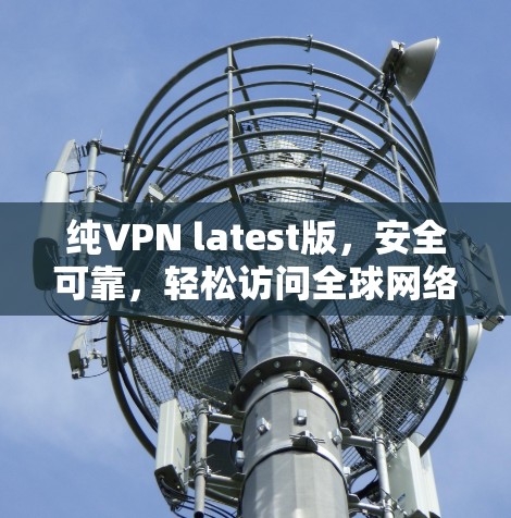 纯VPN latest版，安全可靠，轻松访问全球网络