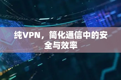 纯VPN,简化通信中的安全与效率 纯VPN,简化通信中的安全与效率