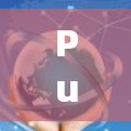 PureVPN 是一个基于TLS-1.2 安全协议的 VPN 工具,旨在提供安全、可靠和高效的VPN服务。以下是对 PureVPN 的详细介绍 PureVPN 是一个基于TLS-1.2 安全协议的 VPN 工具,旨在提供安全、可靠和高效的VPN服务。以下是对 PureVPN 的详细介绍