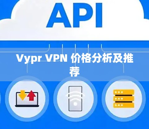 Vypr VPN 价格分析及推荐