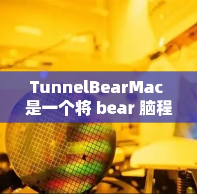 TunnelBearMac 是一个将 bear 脑程序与 Mac OS 结合的工具，旨在跨平台运行脑机接口工具。以下是对该工具的详细介绍