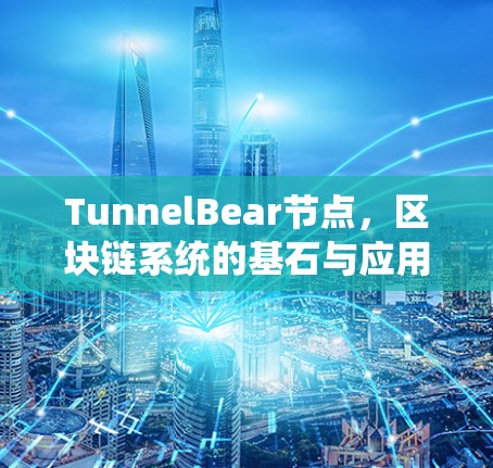 TunnelBear节点，区块链系统的基石与应用场景解析