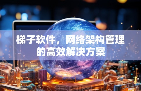 梯子软件，网络架构管理的高效解决方案