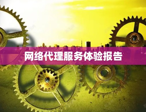 网络代理服务体验报告