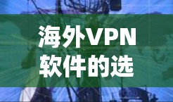 海外VPN软件的选择是一个复杂的问题，因为它涉及到安全、功能、易用性和隐私等多个方面。以下是一些在海外VPN软件中比较常见的选择，以及它们的优缺点分析