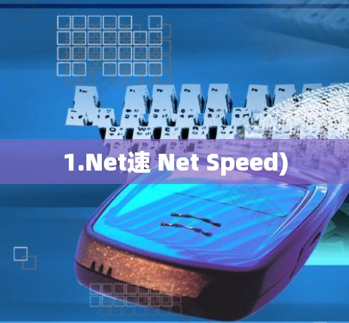 1.Net速 Net Speed)