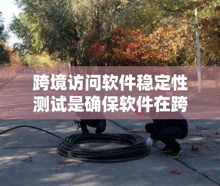 跨境访问软件稳定性测试是确保软件在跨平台和跨设备环境下的可靠性和稳定性的关键步骤。以下是对这一主题的详细总结和建议