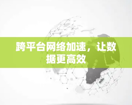 跨平台网络加速，让数据更高效