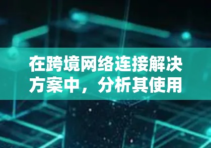 在跨境网络连接解决方案中，分析其使用时需要考虑多个方面，包括技术、经济、安全等因素。以下是对这一问题的分析和总结