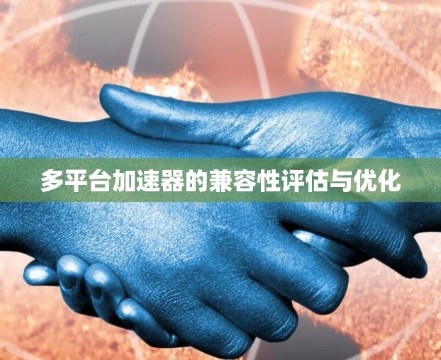 多平台加速器的兼容性评估与优化