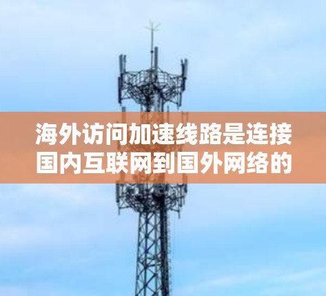 海外访问加速线路是连接国内互联网到国外网络的重要工具，帮助用户访问更广泛的国际资源。以下是一些推荐