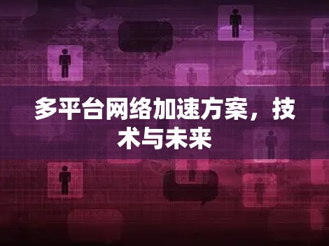 多平台网络加速方案，技术与未来