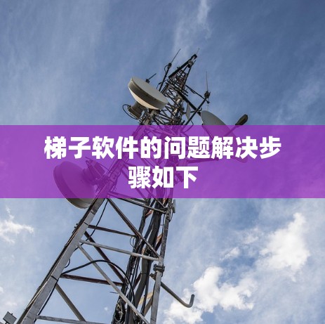 梯子软件的问题解决步骤如下