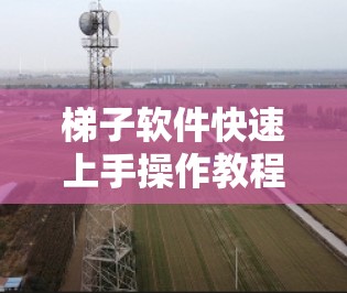 梯子软件快速上手操作教程