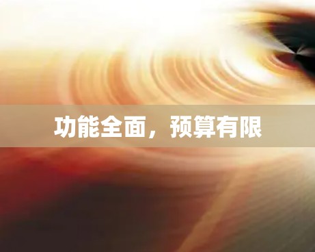 功能全面，预算有限